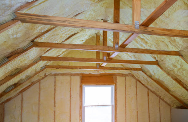 Best Cellulose Insulation in Silver Summit, UT