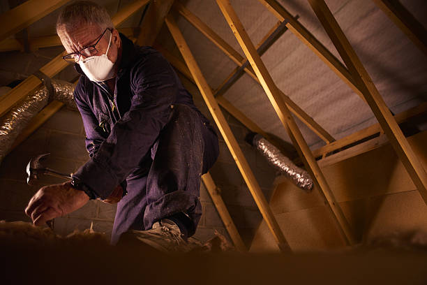Best Insulation for Specific Applications in Silver Summit, UT